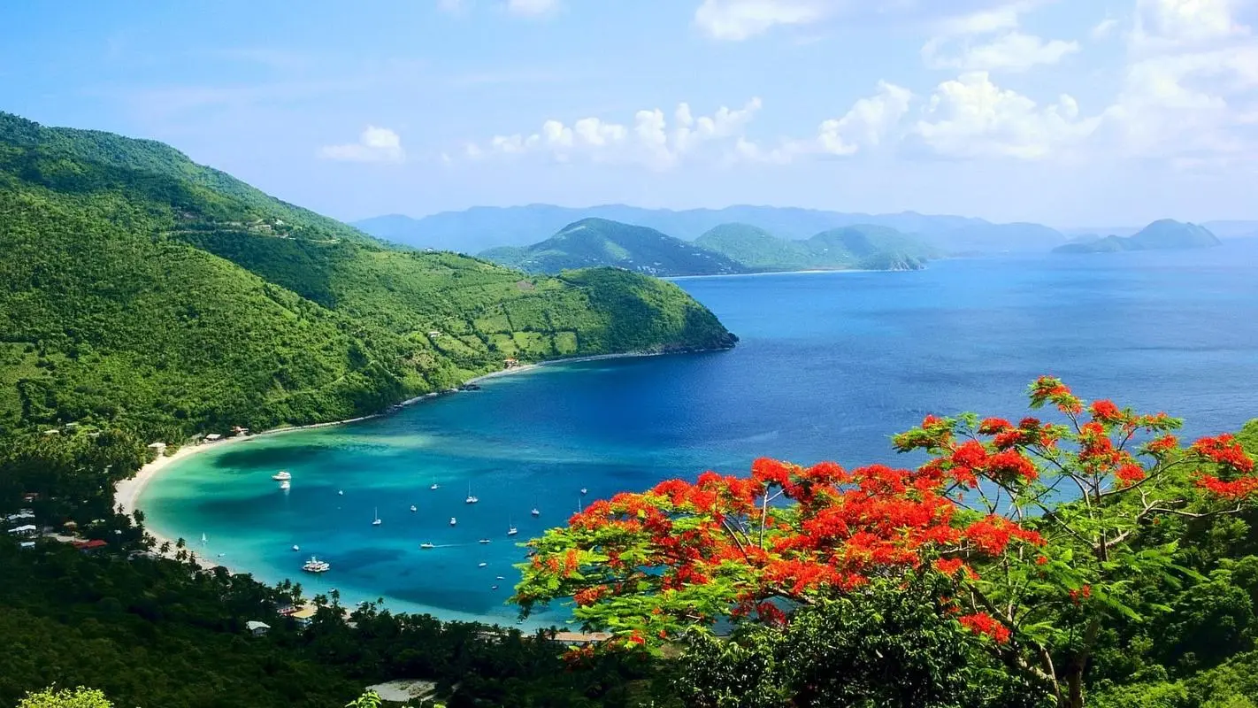 电子高精度